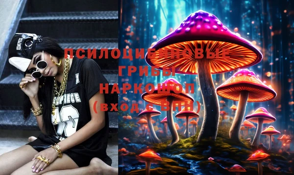 PSILOCYBIN Белоозёрский